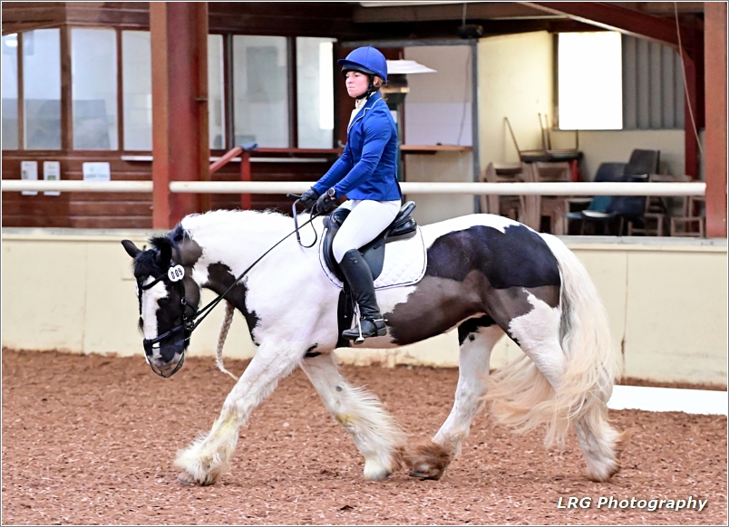 Dressage Image 5